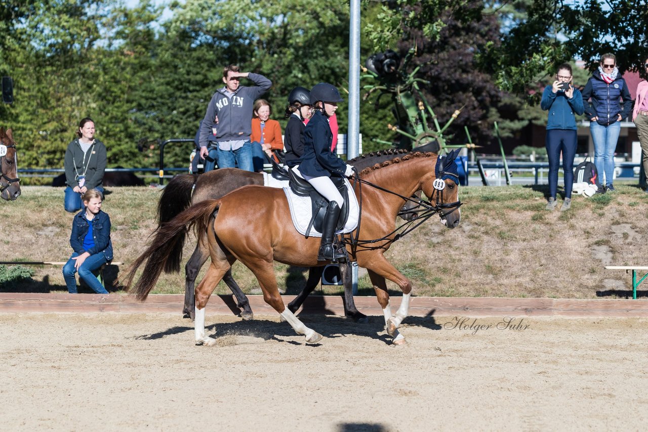 Bild 62 - Pony Akademie Turnier